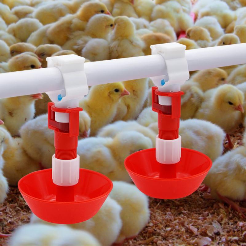 Chicken Nipple Drinker - 5/10/20 Pcs 자동 치킨 물 젖꼭지