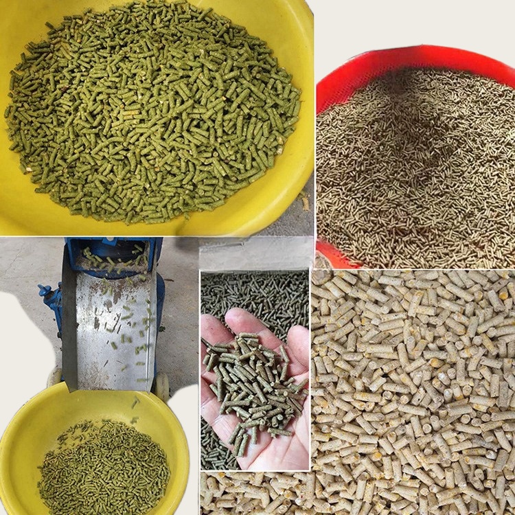 동물 사료용 펠릿 제조기, 목재 사료 제조기, 가금류  - Wood Pellet Making Machine 리뷰 및 가격