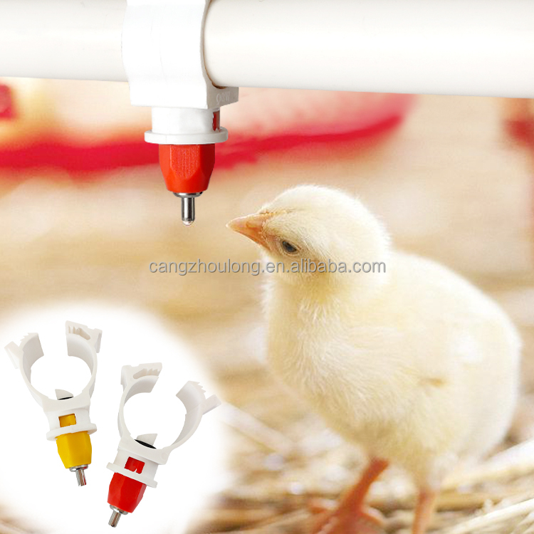 YYW LM44 인기 판매 농장용 플라스틱 및 스테인리 - Chicken Nipple Drinker 리뷰 및 가격