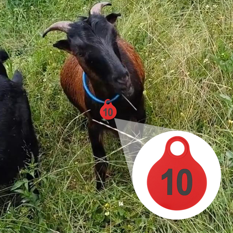 001-100 소 TPU 귀표 / 구리 바늘 귀표 농장 - Livestock Ear Tag 리뷰 및 가격