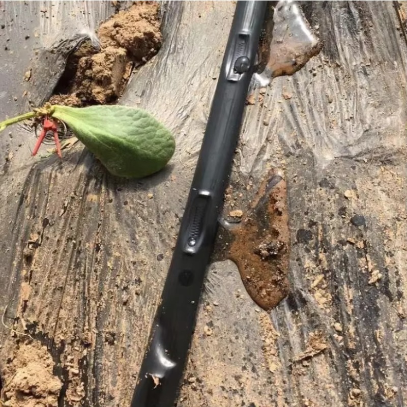 공장 가격: 1 헥타르 농업 관개 시스템 설계. 농장  - Farming Agriculture 리뷰 및 가격
