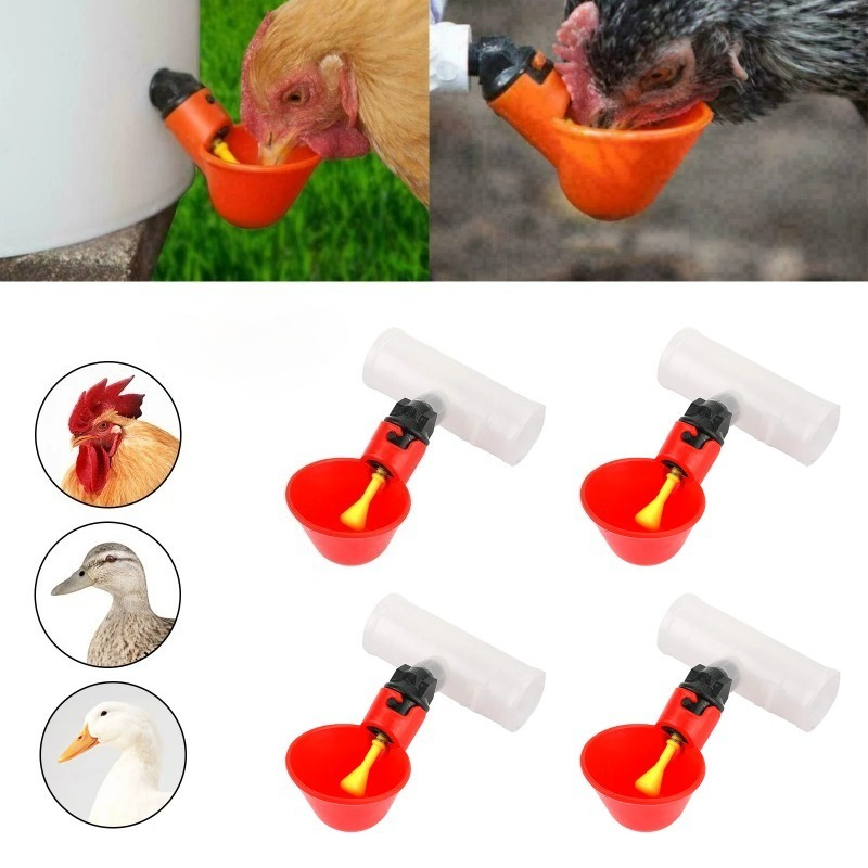 4개 자동 닭/메추리 급수기, 노란색 니플이 있는 직관 - Chicken Nipple Drinker 리뷰 및 가격