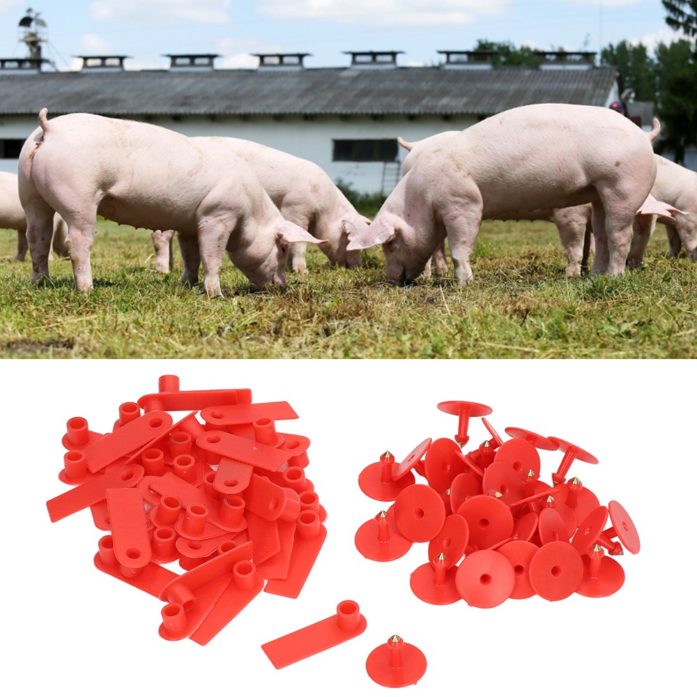 100개 손으로 쓸 수 있는 빈 가축 귀표 PP 내구성 - Livestock Ear Tag 리뷰 및 가격