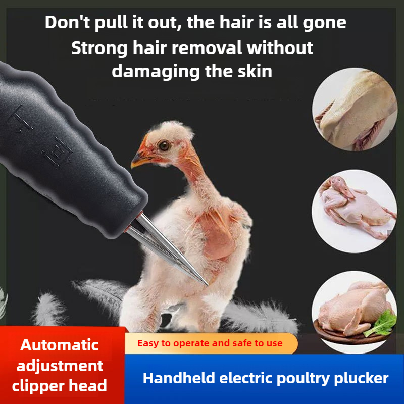 휴대용 전기 닭털 뽑는 기계, 오리, 거위, 메추라기  - Chicken Plucker Machine 리뷰 및 가격