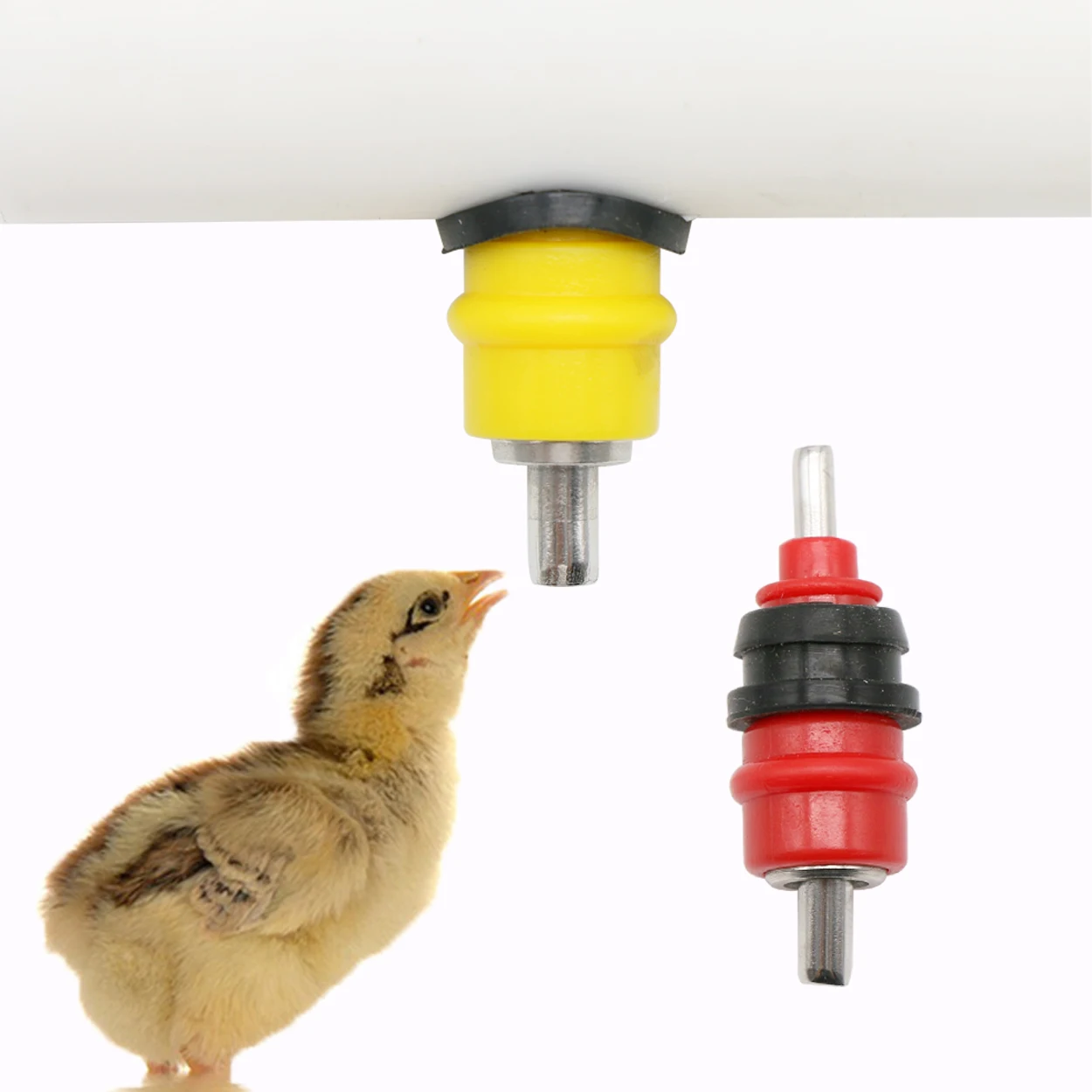 메추라기 비둘기 새 물주기, 닭 물주기, 젖꼭지, 자동 - Chicken Nipple Drinker 리뷰 및 가격